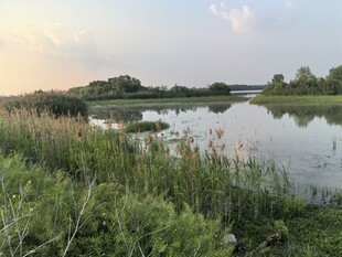 湖畔自然风光美景