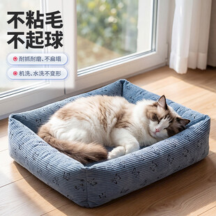 蓝色猫窝主图设计