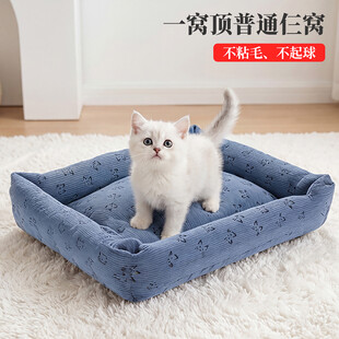 小猫站立在蓝色宠物窝中
