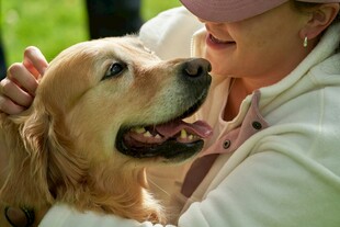 女子亲昵抚摸可爱金毛犬