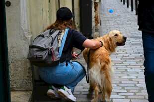 女子街边亲昵抚摸金毛犬