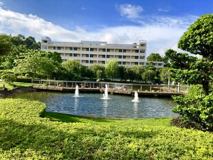 湖畔绿植环绕的现代建筑