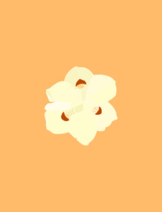 花朵背景图
