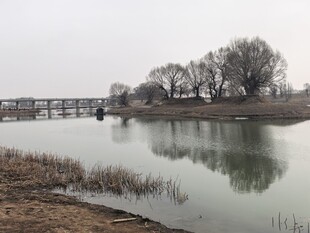 宁静湖畔风景
