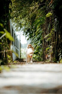 林间小道上的温馨亲子时光