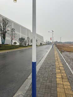 空旷道路旁的人行道景观