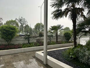 户外湿润景观中的绿植与路灯