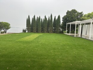 绿意盎然的户外草坪景观