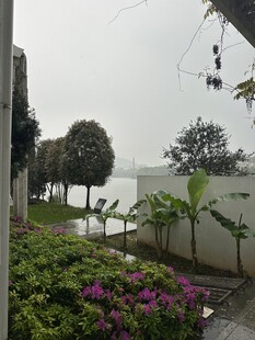 庭院绿植花卉景观一角