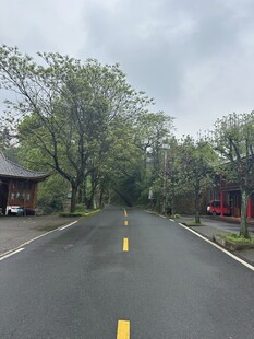林间公路