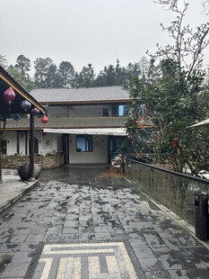 雨中古朴庭院石板路