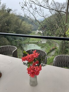 阳台景致 