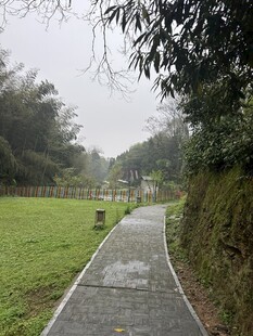 雨中漫步小径的清新景致