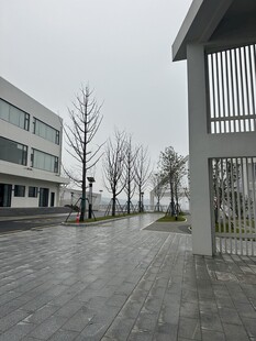 雨中校园空旷道路场景