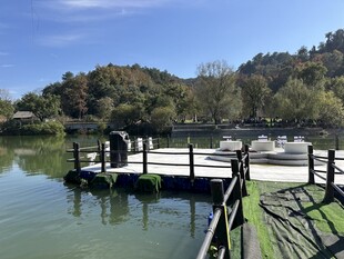 湖畔木质码头风景