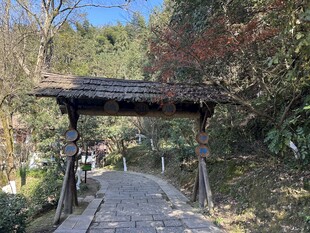 山林间古朴的木质廊桥