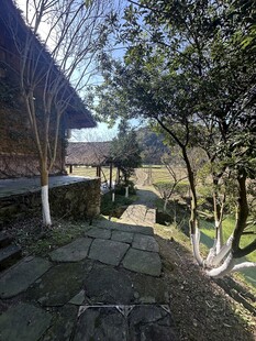 乡村庭院石板小径风景
