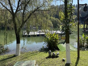 湖畔春景