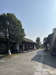 乡村宁静街道景象