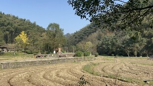 秋日乡村田野风光