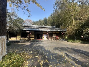林间古朴小屋