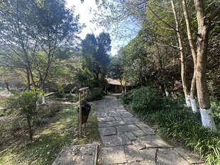 林间小径漫步处
