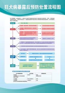 狂犬病暴露后预防处置流程图