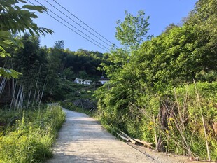 乡间小径