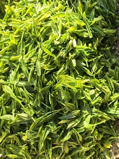 茶叶