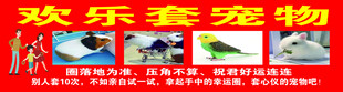 欢乐套宠物