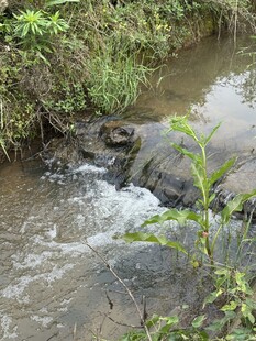 山间小溪潺潺流水景象
