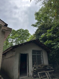 乡村小屋隐于绿树之间