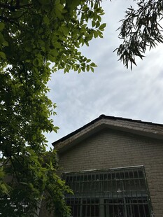 绿树环绕的房屋一角