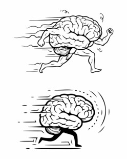 人脑图案