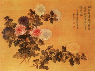 四色菊花图