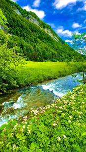 山间溪流旁的翠绿美景