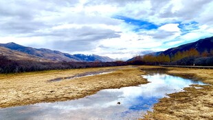 山间静美溪流风景图