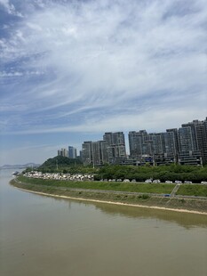 江边城市建筑风景