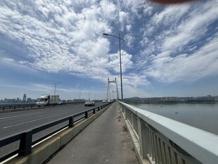 海边桥梁风景