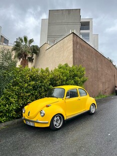 复古黄色甲壳虫停于绿植旁