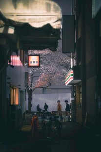 日式街巷夜景静谧氛围