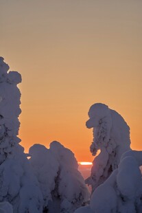 雪覆奇景夕阳映出梦幻轮廓