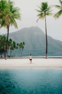 热带泳池边的惬意景致
