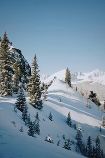 冬日雪景中的山林风光