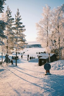 冬日雪景中的欢乐户外场景