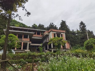 山间别墅绿植环绕的居所
