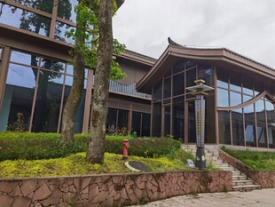 中式风格现代建筑外观