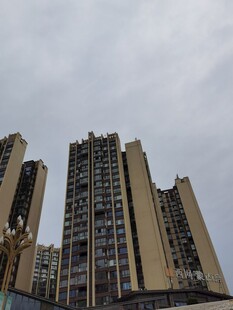 高楼耸立的城市景象