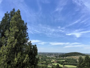 蓝天绿树间的开阔景致