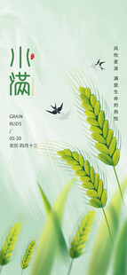 小满